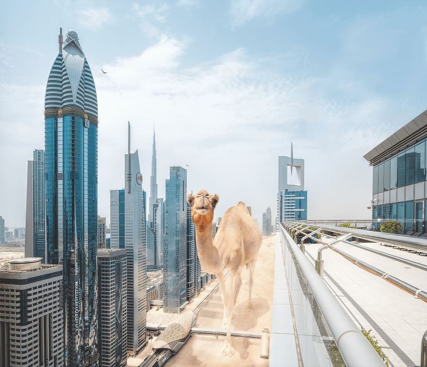 This Isn’t Fantasy. It’s Our World This Isn’t Fantasy. It’s Our World