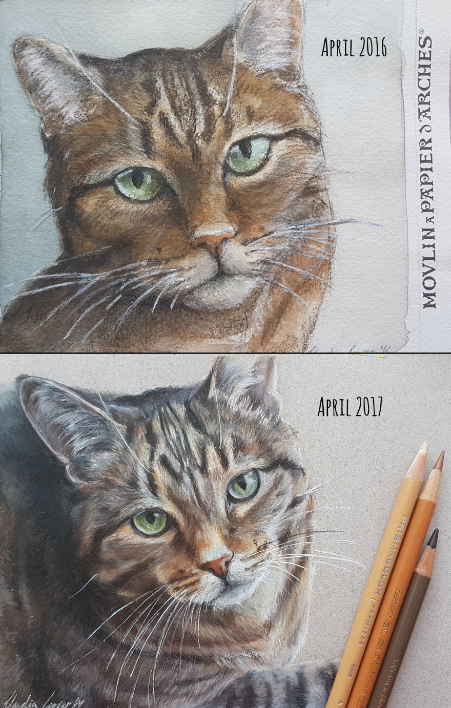 &#8216;Draw This Again&#8217; Challenge Shows That Practice Makes Perfect (50 Pics)