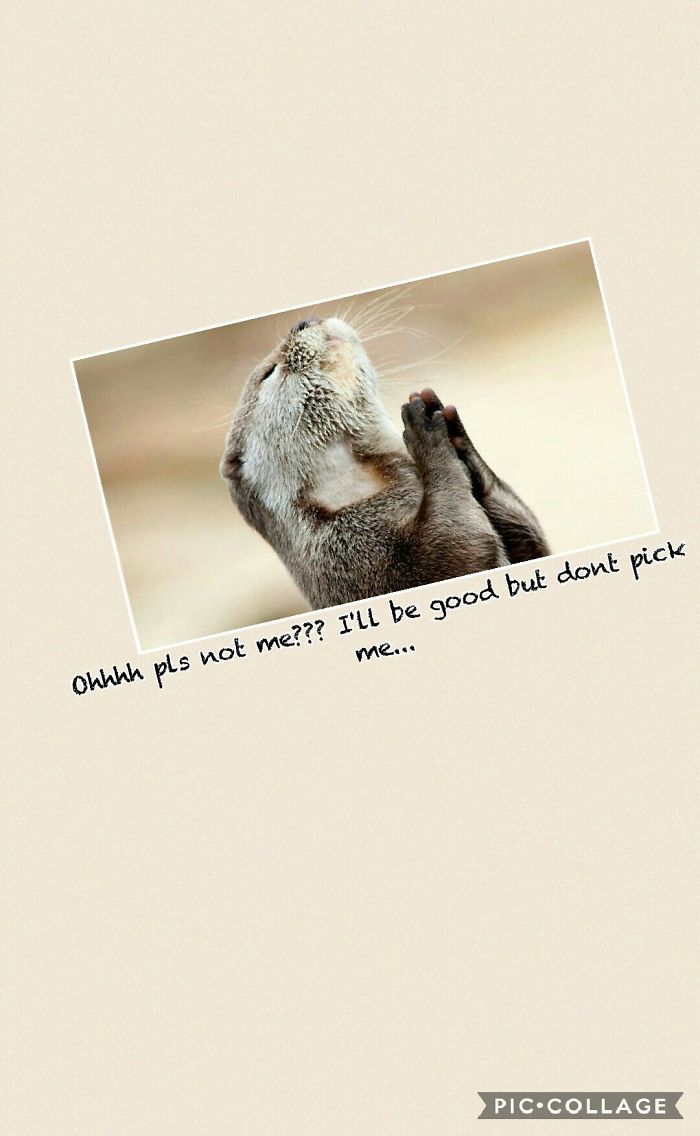 314 Of The Funniest Reactions To United Airlines Violently Dragging A Man Off A Plane (Add Yours)