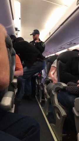 314 Of The Funniest Reactions To United Airlines Violently Dragging A Man Off A Plane (Add Yours)