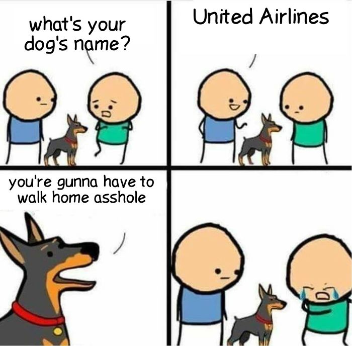 314 Of The Funniest Reactions To United Airlines Violently Dragging A Man Off A Plane (Add Yours)