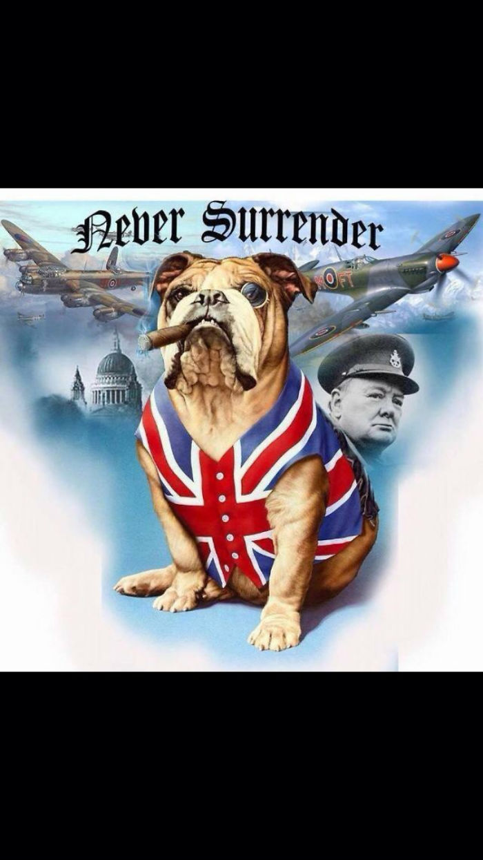 314 Of The Funniest Reactions To United Airlines Violently Dragging A Man Off A Plane (Add Yours)