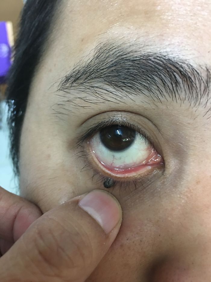 314 Of The Funniest Reactions To United Airlines Violently Dragging A Man Off A Plane (Add Yours)