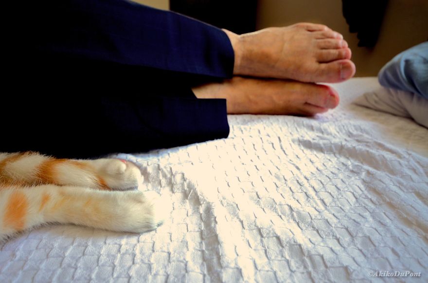 I Got A Cat For My Sick And Grumpy Grandpa, And He Turned His Life Upside Down I Got A Cat For My Sick And Grumpy Grandpa, And He Turned His Life Upside Down