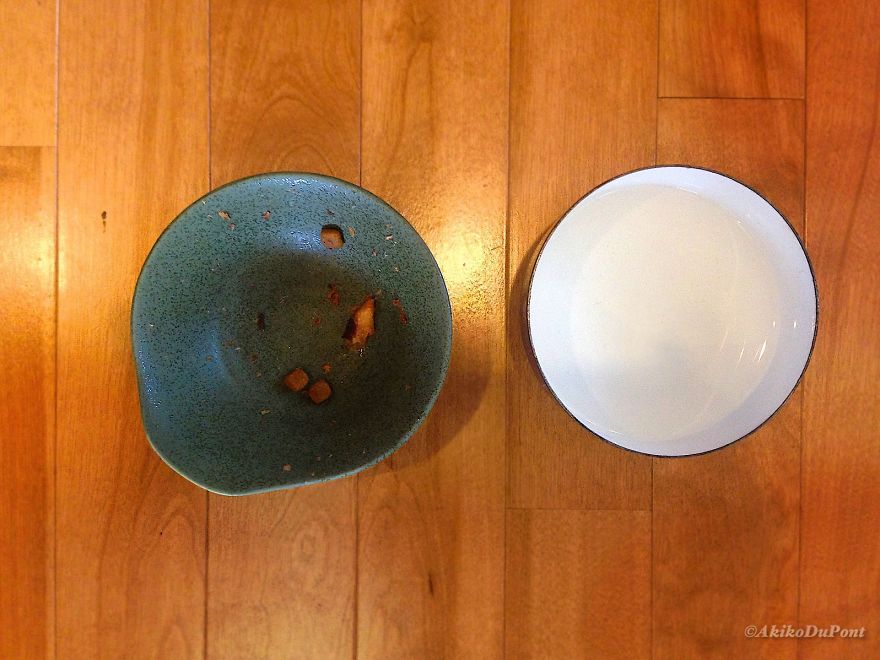 I Got A Cat For My Sick And Grumpy Grandpa, And He Turned His Life Upside Down I Got A Cat For My Sick And Grumpy Grandpa, And He Turned His Life Upside Down