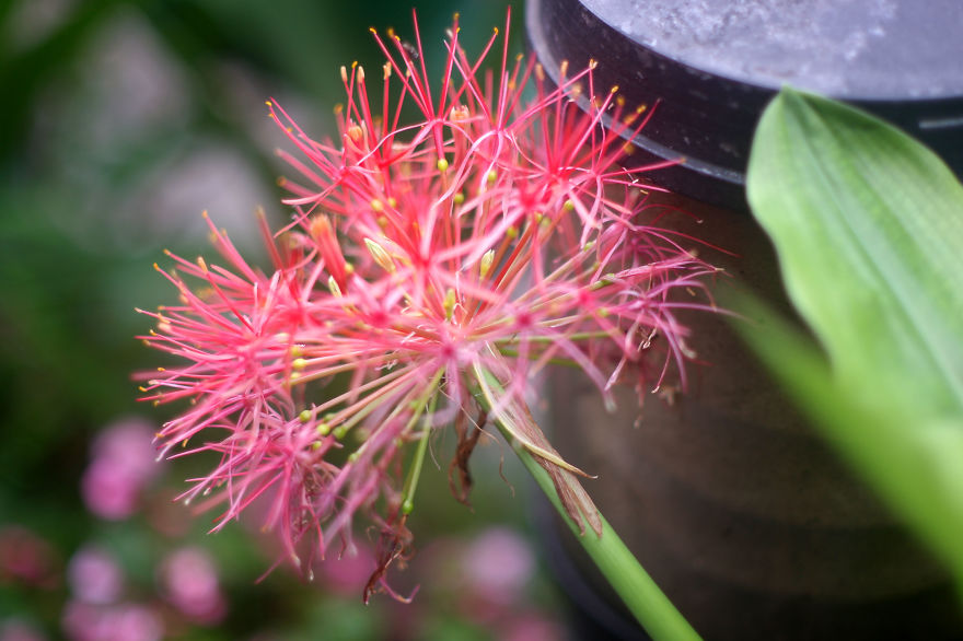 I Like To Focus On Natural