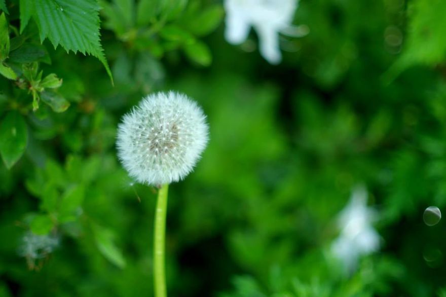 I Like To Focus On Natural