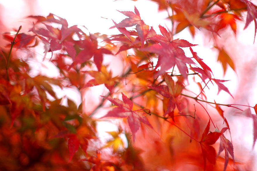 I Like To Focus On Natural