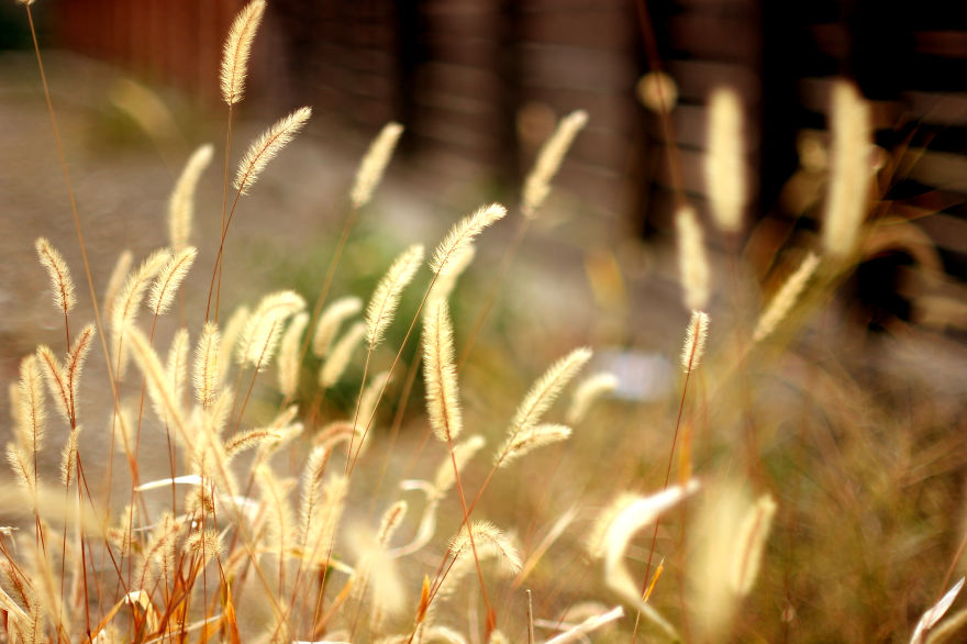 I Like To Focus On Natural