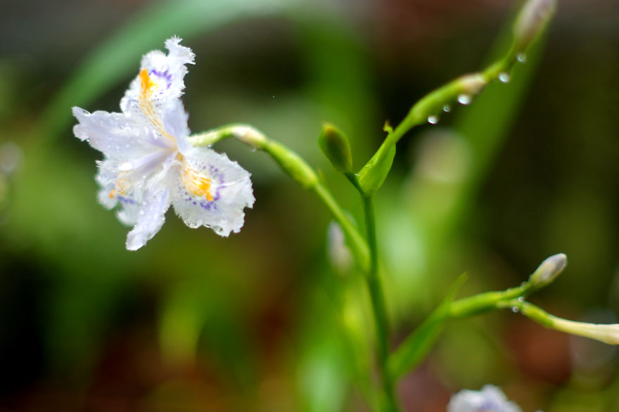 I Like To Focus On Natural