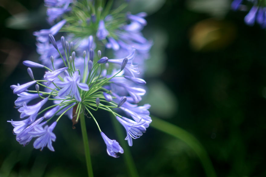 I Like To Focus On Natural