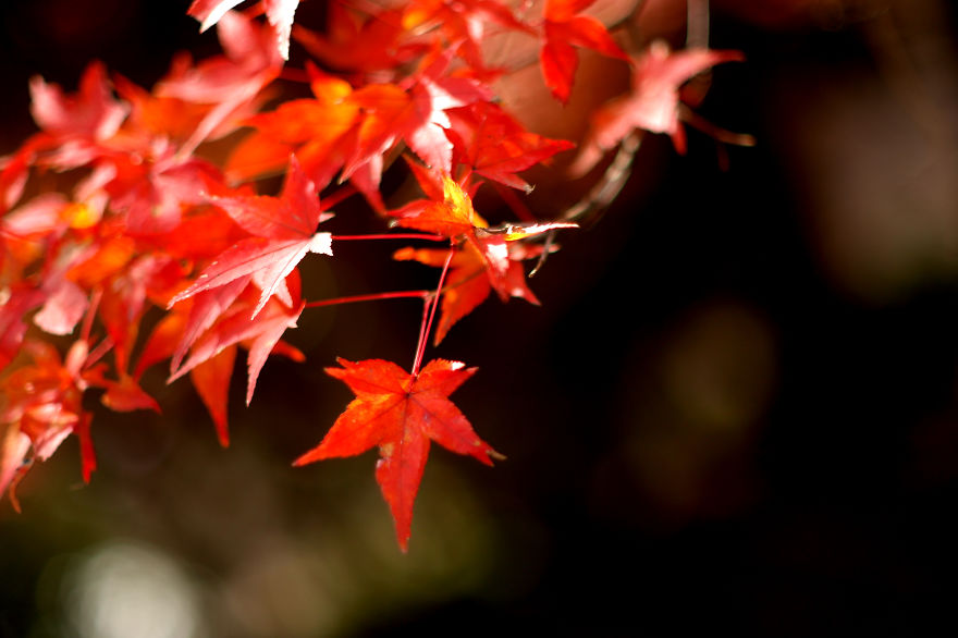 I Like To Focus On Natural