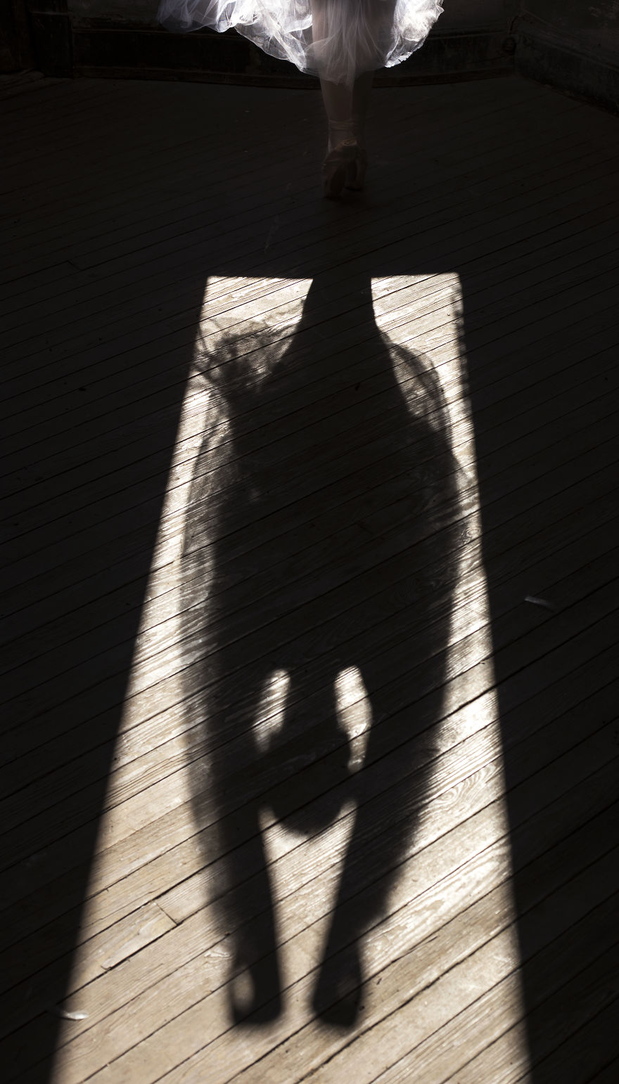 I Photograph The Beauty Of Ballet I Photograph The Beauty Of Ballet