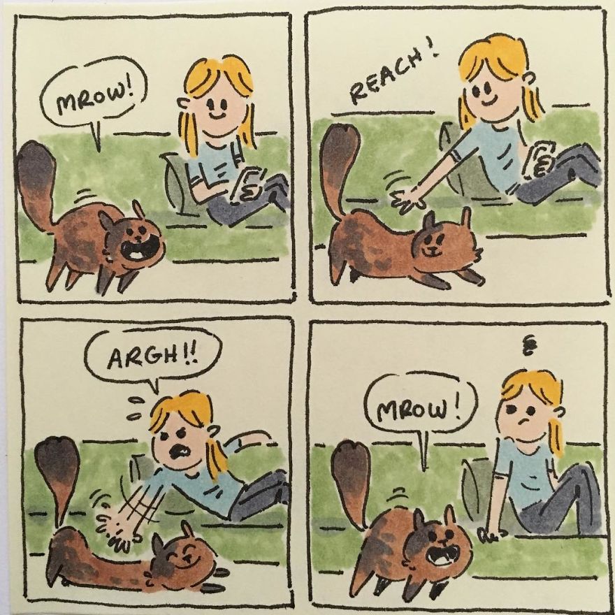 I Capture What It&#8217;s Like Living With My Cats