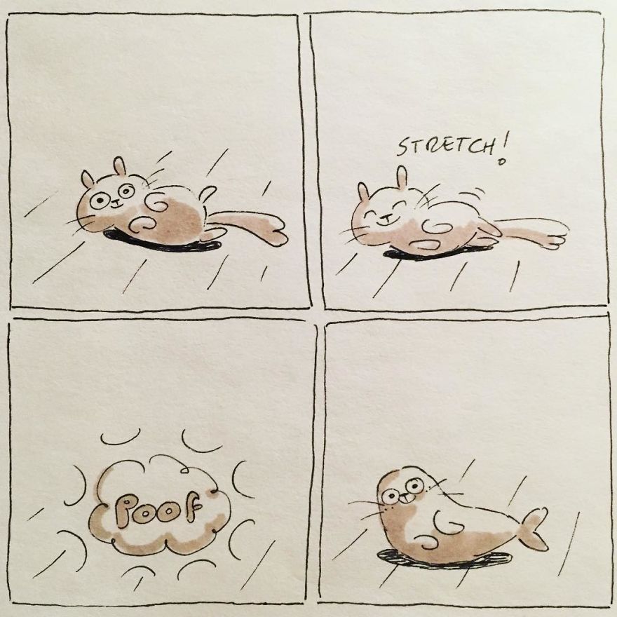 I Capture What It&#8217;s Like Living With My Cats