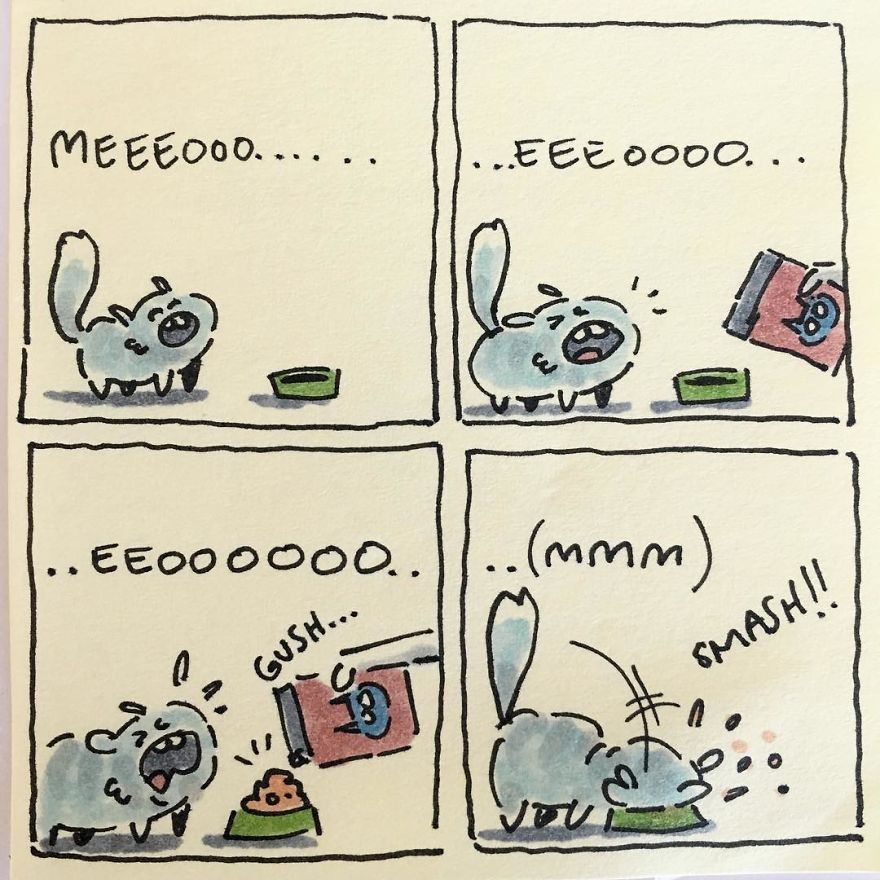 I Capture What It&#8217;s Like Living With My Cats