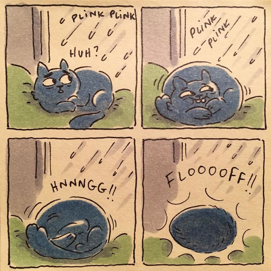 I Capture What It&#8217;s Like Living With My Cats