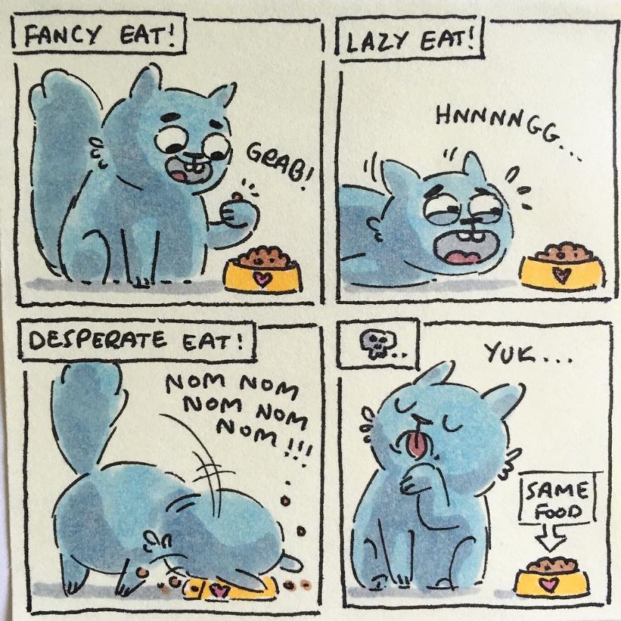 I Capture What It&#8217;s Like Living With My Cats