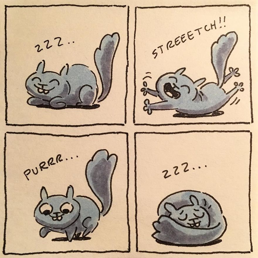 I Capture What It&#8217;s Like Living With My Cats