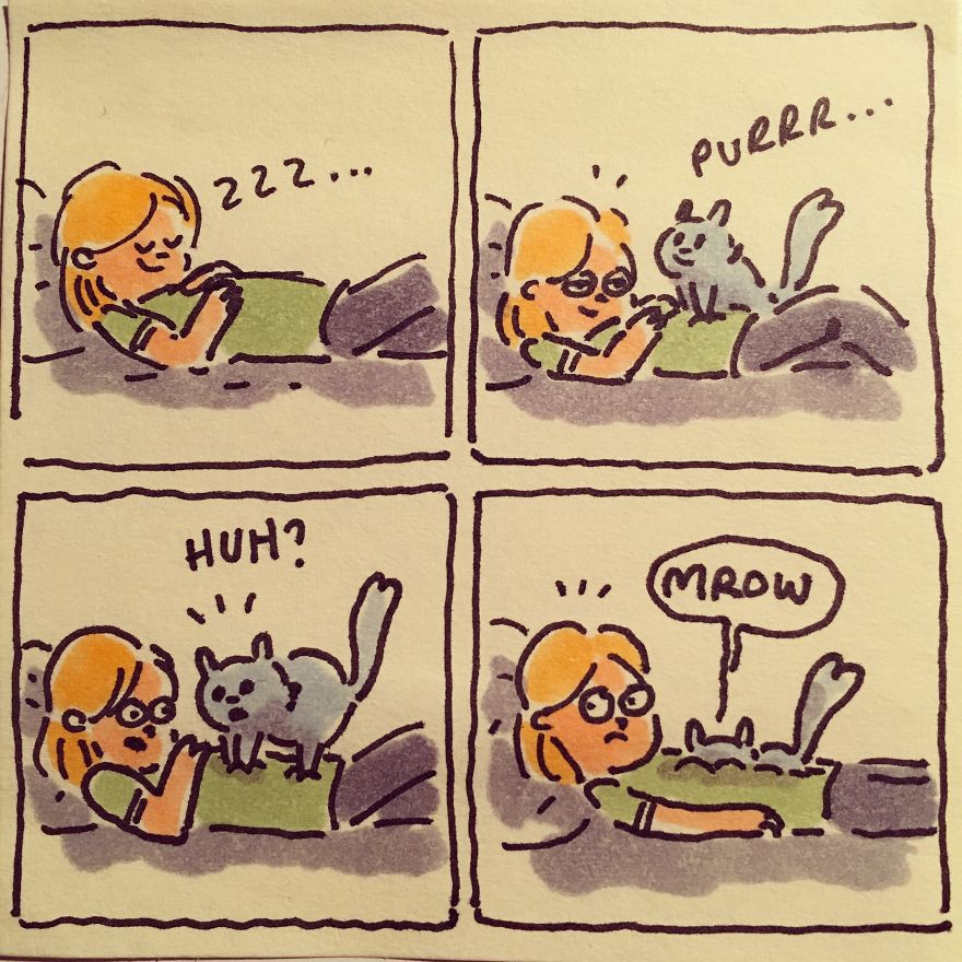 I Capture What It&#8217;s Like Living With My Cats