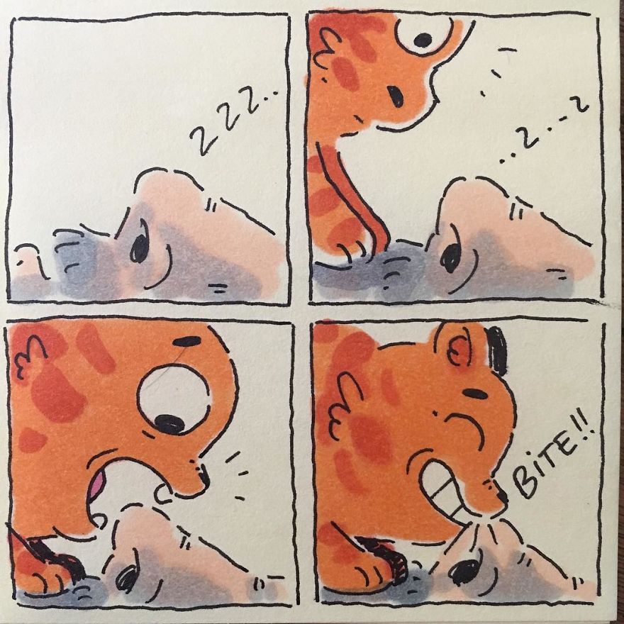 I Capture What It&#8217;s Like Living With My Cats