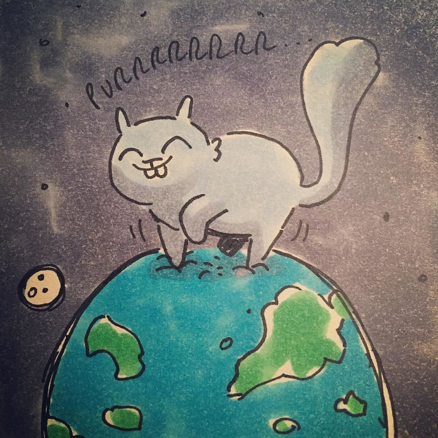 I Capture What It&#8217;s Like Living With My Cats