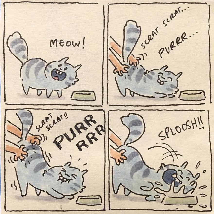 I Capture What It&#8217;s Like Living With My Cats