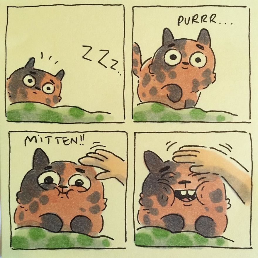 I Capture What It&#8217;s Like Living With My Cats