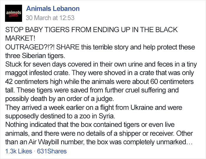 Mysterious Box Sat At The Airport For 7 Days Until Someone Finally Helped The Animals Trapped Inside (UPDATED) Mysterious Box Sat At The Airport For 7 Days Until Someone Finally Helped The Animals Trapped Inside (UPDATED)