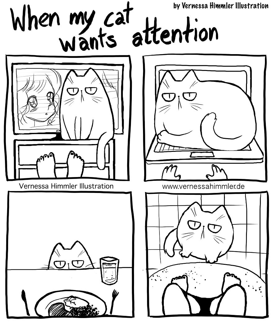 My Diary Comics About My Life With Two Cheeky Cats My Diary Comics About My Life With Two Cheeky Cats
