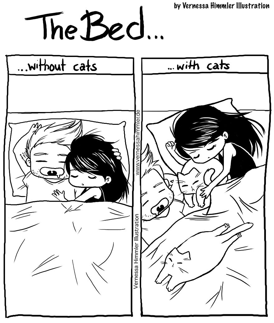 My Diary Comics About My Life With Two Cheeky Cats My Diary Comics About My Life With Two Cheeky Cats