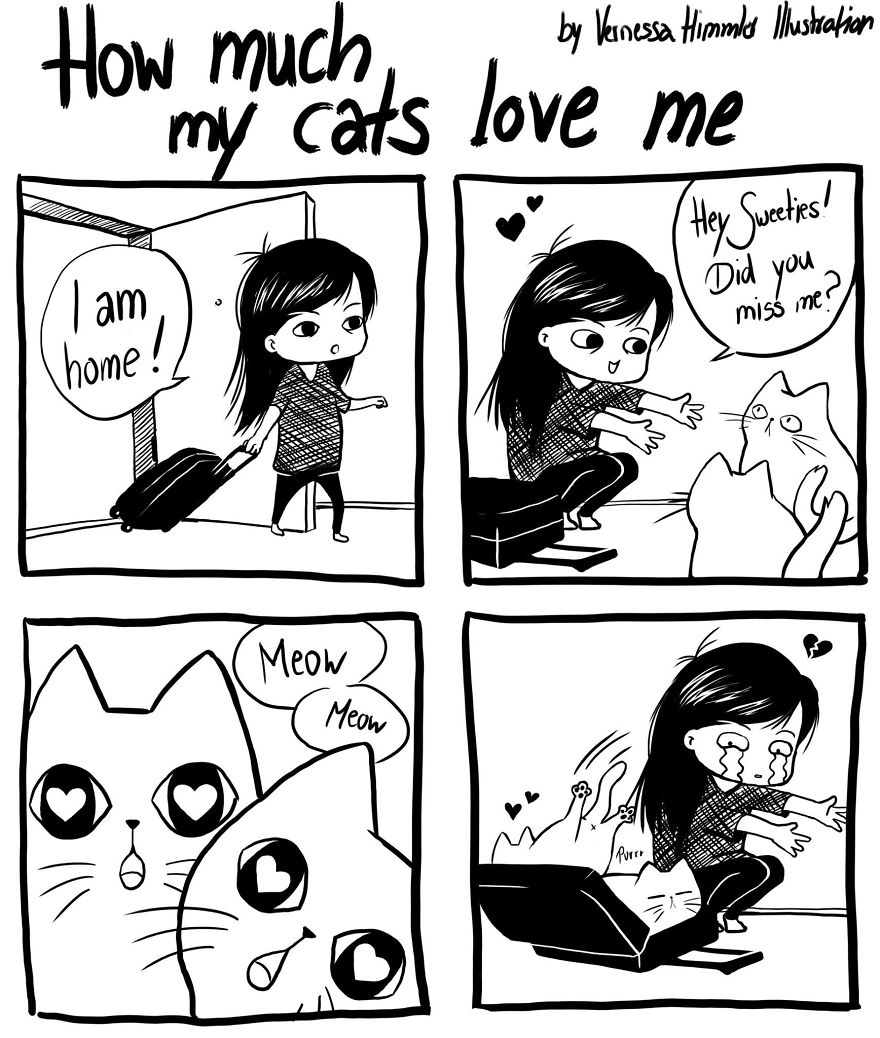 My Diary Comics About My Life With Two Cheeky Cats My Diary Comics About My Life With Two Cheeky Cats