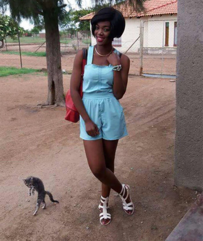 50 Times Asshole Cats Hilariously Photobombed Purrfect Shots 50 Times Asshole Cats Hilariously Photobombed Purrfect Shots