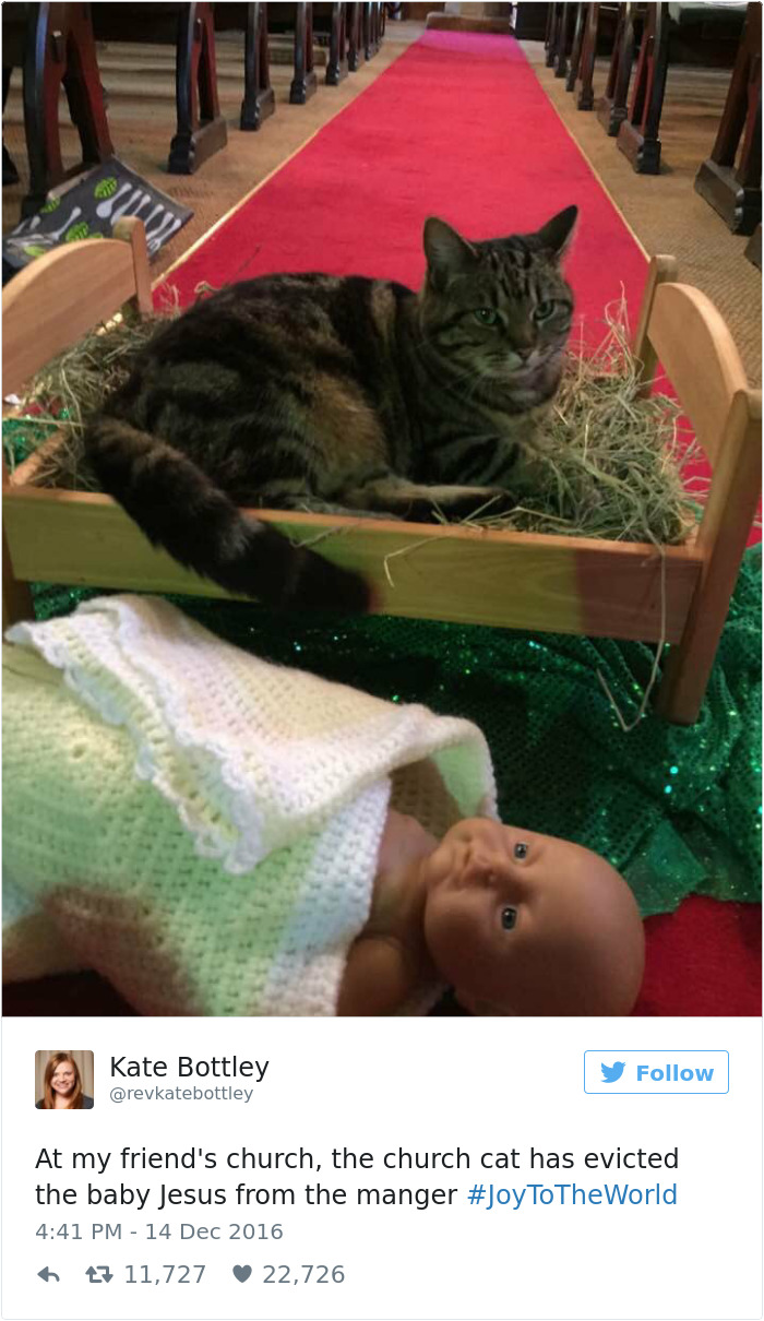 30 Animals Who Absolutely Don’t Give A Damn 30 Animals Who Absolutely Don’t Give A Damn