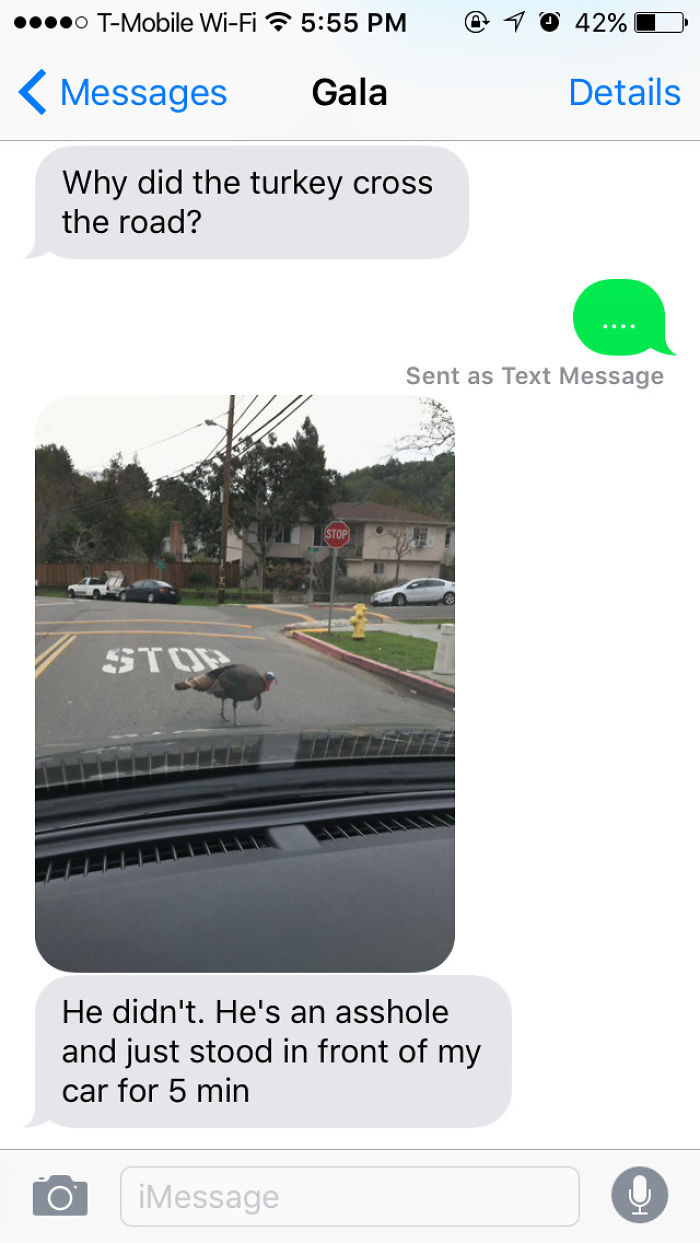 30 Animals Who Absolutely Don’t Give A Damn 30 Animals Who Absolutely Don’t Give A Damn