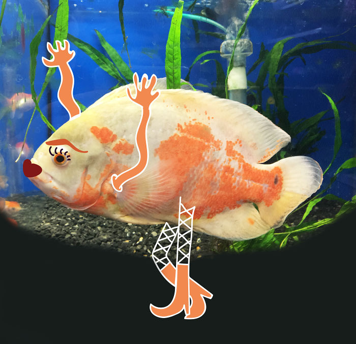 Doodle Your Pets To Take Them On New Adventures Doodle Your Pets To Take Them On New Adventures