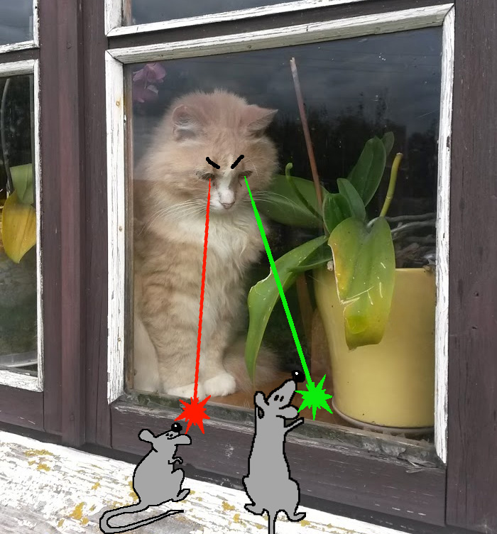 Doodle Your Pets To Take Them On New Adventures Doodle Your Pets To Take Them On New Adventures