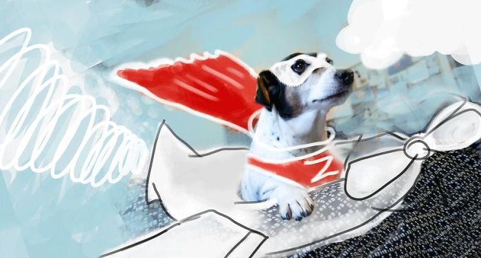 Doodle Your Pets To Take Them On New Adventures Doodle Your Pets To Take Them On New Adventures