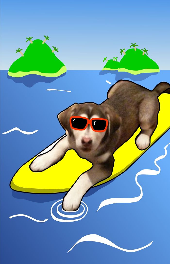 Doodle Your Pets To Take Them On New Adventures Doodle Your Pets To Take Them On New Adventures