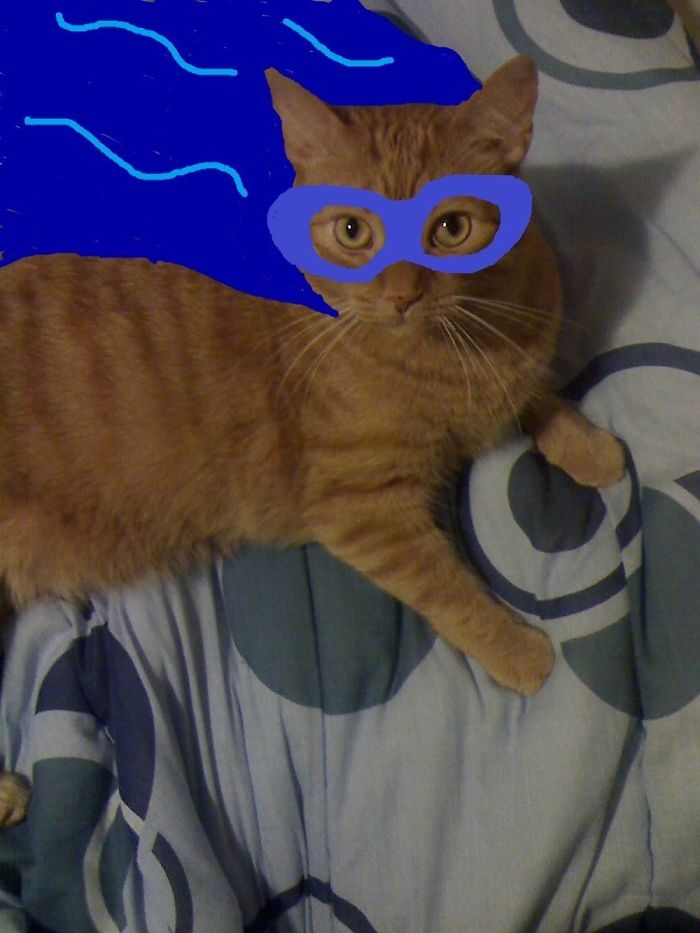 Doodle Your Pets To Take Them On New Adventures Doodle Your Pets To Take Them On New Adventures