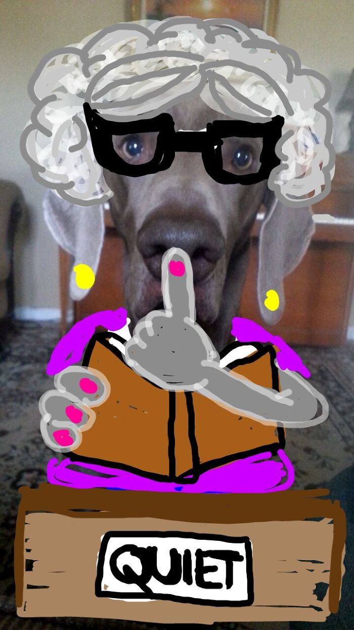 Doodle Your Pets To Take Them On New Adventures Doodle Your Pets To Take Them On New Adventures