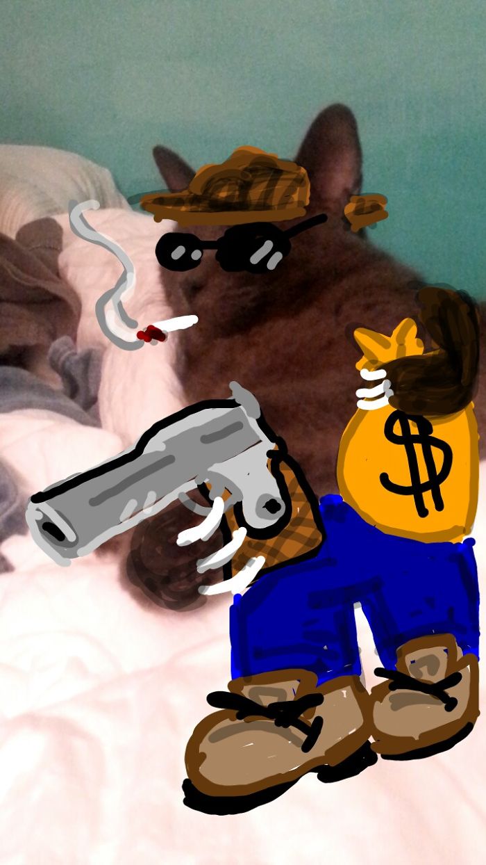 Doodle Your Pets To Take Them On New Adventures Doodle Your Pets To Take Them On New Adventures