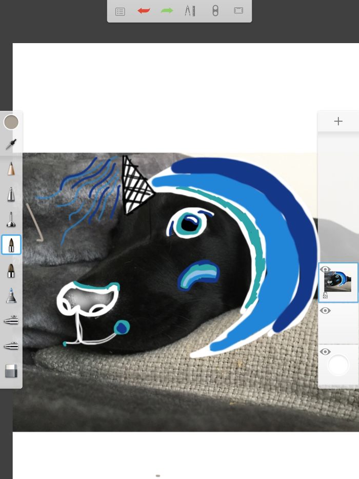 Doodle Your Pets To Take Them On New Adventures Doodle Your Pets To Take Them On New Adventures