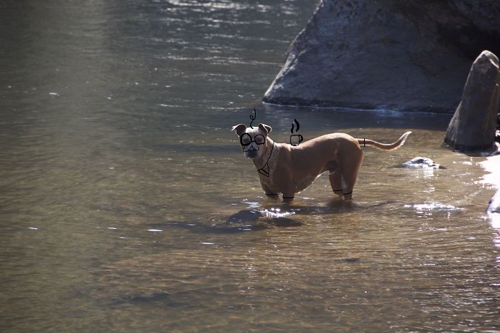 Doodle Your Pets To Take Them On New Adventures Doodle Your Pets To Take Them On New Adventures