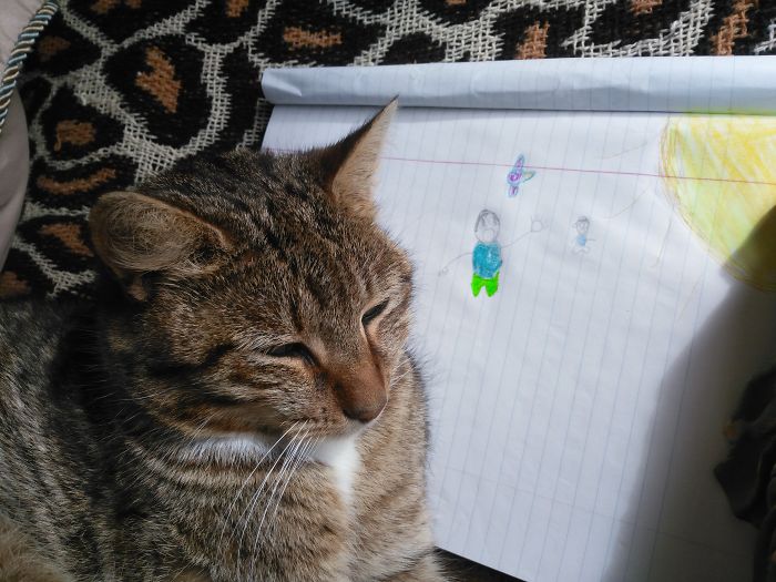 Doodle Your Pets To Take Them On New Adventures Doodle Your Pets To Take Them On New Adventures