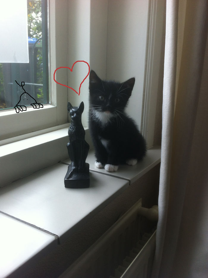 Doodle Your Pets To Take Them On New Adventures Doodle Your Pets To Take Them On New Adventures