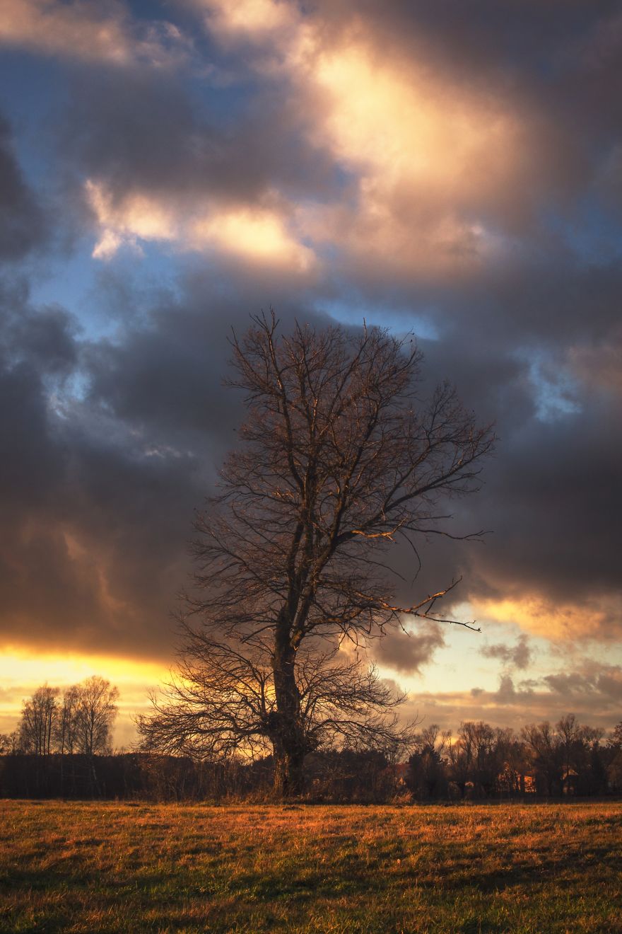 I Took Unique Photographs Of Polish Landscapes In The Closest And Barely Known Landscape Park I Took Unique Photographs Of Polish Landscapes In The Closest And Barely Known Landscape Park
