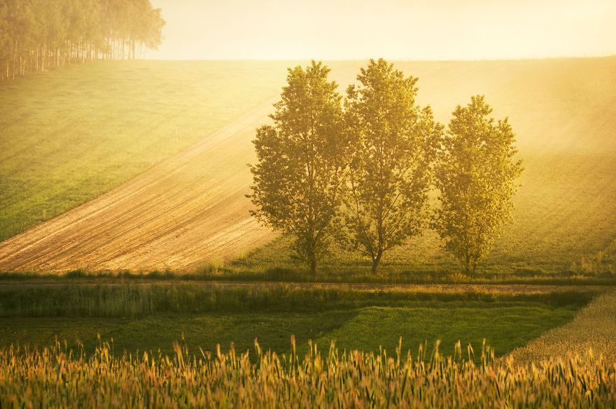 I Took Unique Photographs Of Polish Landscapes In The Closest And Barely Known Landscape Park I Took Unique Photographs Of Polish Landscapes In The Closest And Barely Known Landscape Park