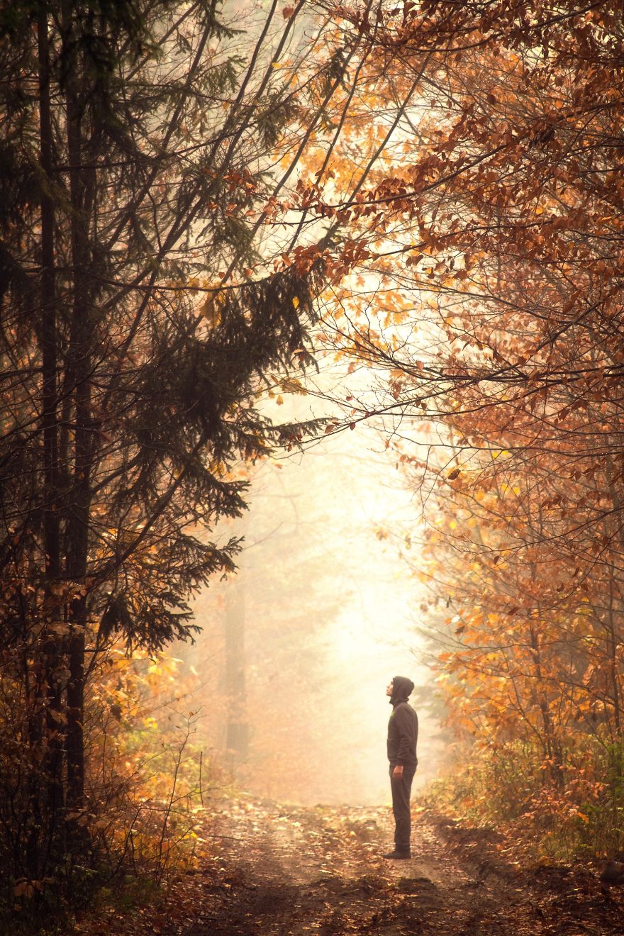 I Took Unique Photographs Of Polish Landscapes In The Closest And Barely Known Landscape Park