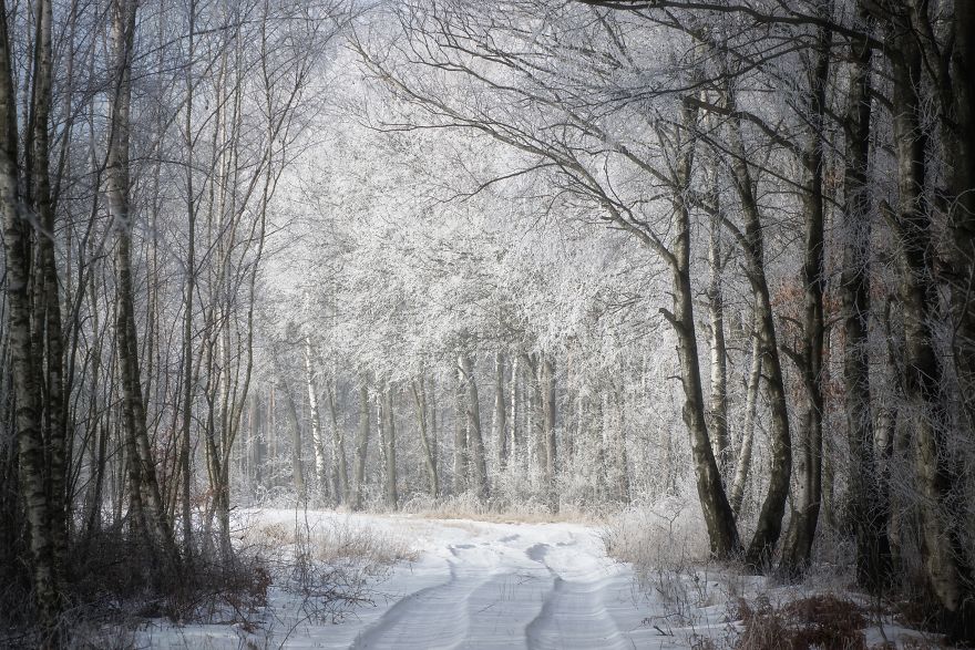 I Took Unique Photographs Of Polish Landscapes In The Closest And Barely Known Landscape Park I Took Unique Photographs Of Polish Landscapes In The Closest And Barely Known Landscape Park